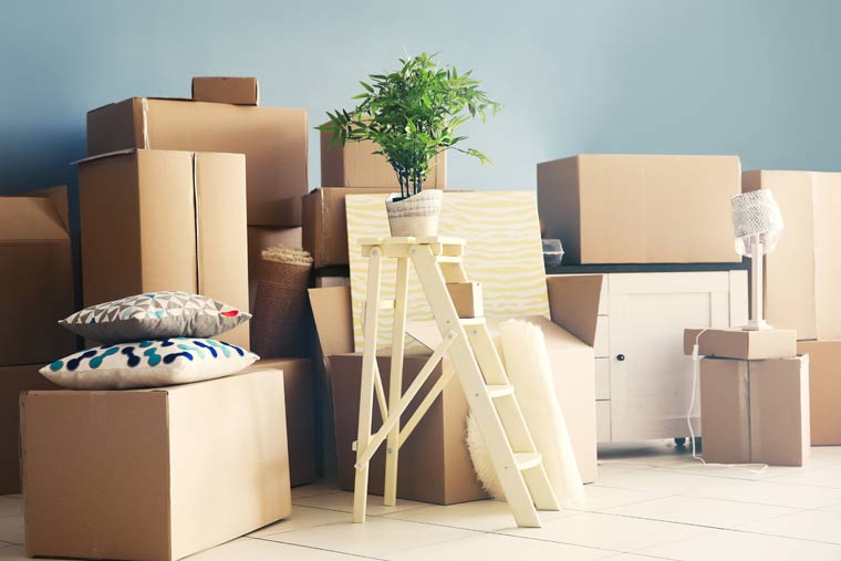 Removals & Relocations